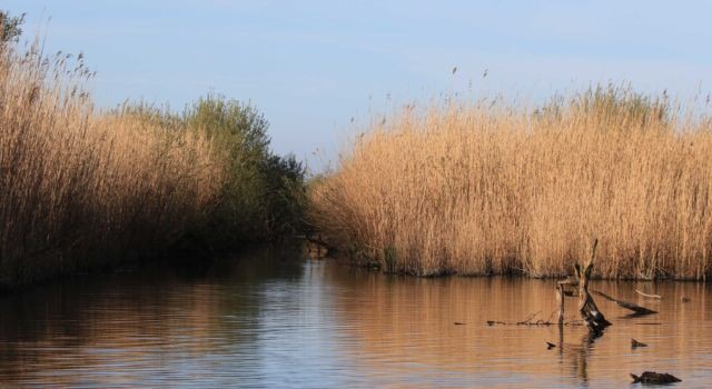 Oostvaarderplassen 